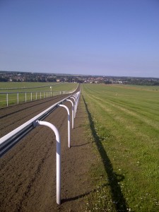 looking down the gallop into Newmarket